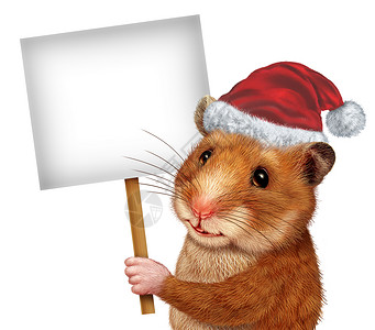带帽子情带着圣诞帽的可爱仓鼠举广告牌设计图片