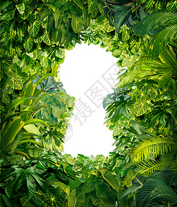 Jeep自由光脱离丛林是自由的概念和成功从混乱和与厚的绿雨林混为一谈作组热带植物设计图片