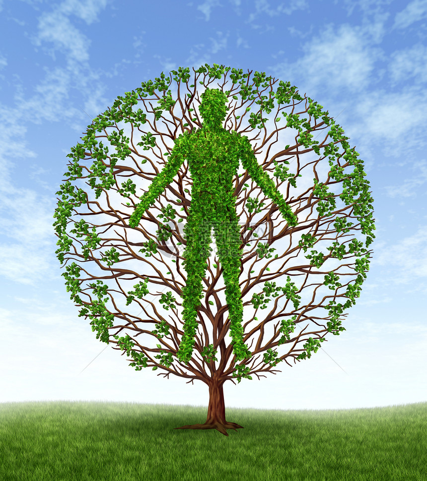 作为健康医学象征的人类成长和发展以及个作为一棵树的健康象征上有枝和绿叶其形状是蓝天上的人解剖身体图片