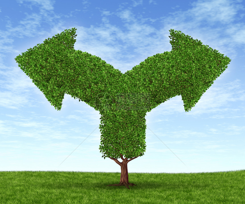 由于经济财富增长如一棵树和状叶形的叉箭在蓝夏天空上朝相反方向飞来带着绿草因此商业选择增加财政困境图片