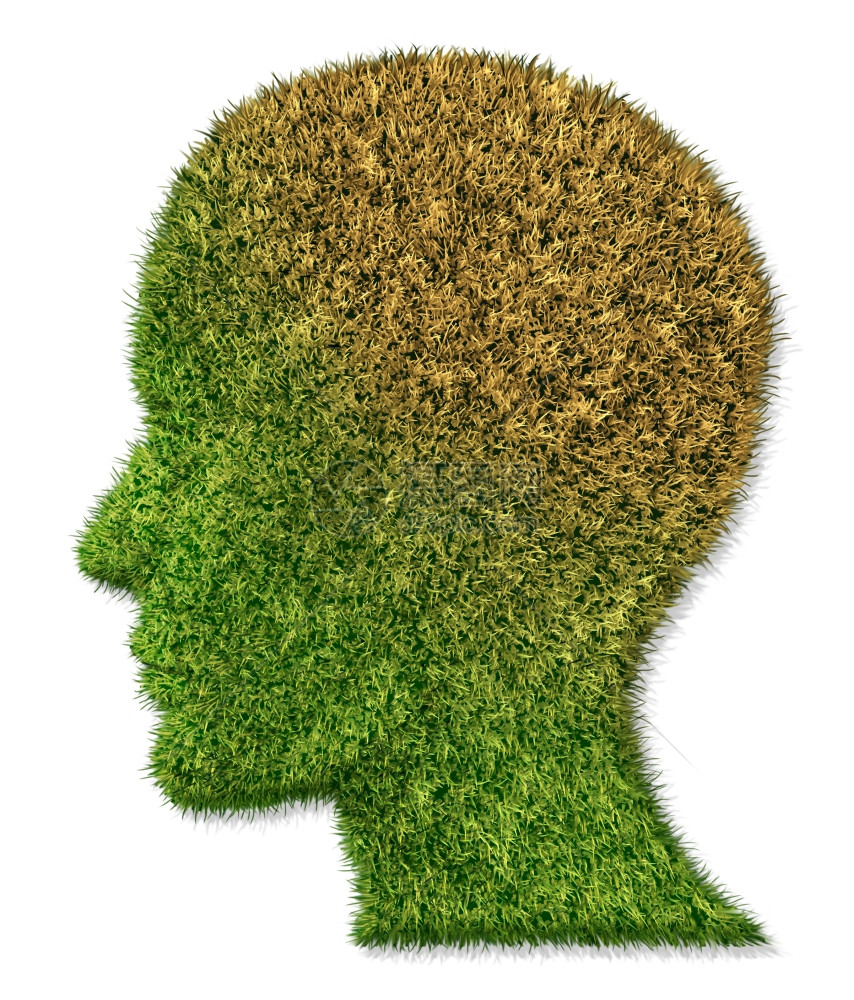 医疗保健概念记忆丧失的概念如痴呆症和阿尔兹海默斯夸造成抑郁症作为绿草地的一块头形变成棕色的草原或死图片