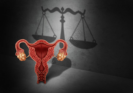 堕胎法和生殖是权的律概念作为政府立法以三维示例要素决定有关生命或选择的法律背景图片