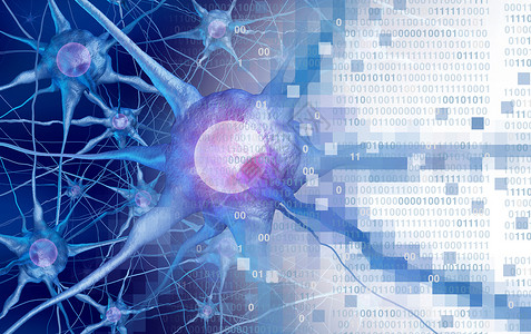 脑科学ai和神经科学或数字大脑的功能概念是人工智或虚拟现实技术3d背景