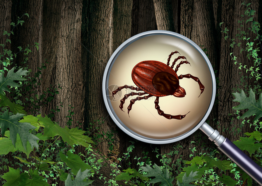 以三维插图元素标记森林警告以关闭可怕的疾病传虫作为野外淋巴病的风险图片