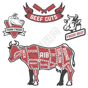 牛肉部位图牛肉屠宰图海报设计插画