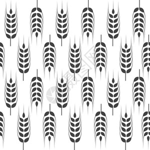 作物白色农业小麦背景矢量插图设计插画