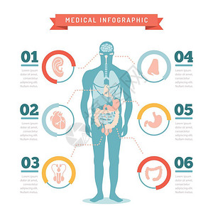 医学身体系统背景图片