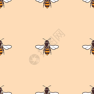蜜蜂无缝背景抽象艺术设计插图图片