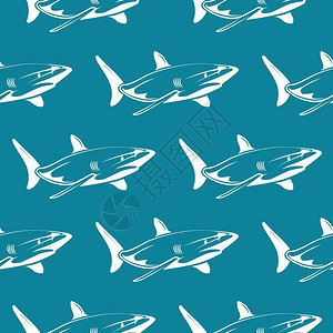 白色鲨鱼矢量背景图背景图片
