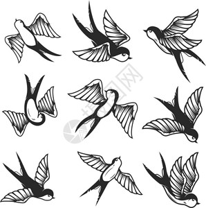 不同姿势飞翔的燕子背景图片