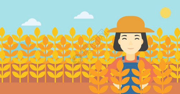 在小麦田上劳动耕作的女性农民图片