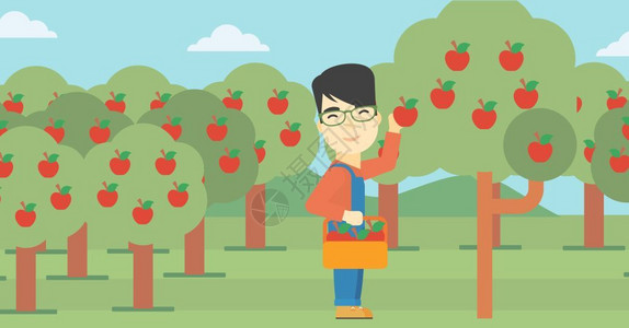 果园里手持苹果的农民图片