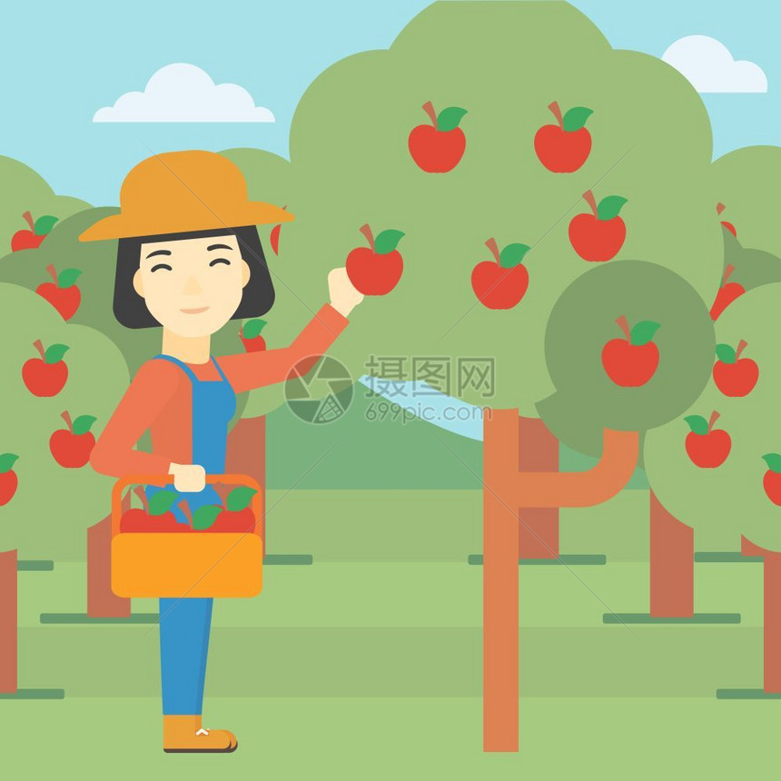 在果园摘苹果的农民图片