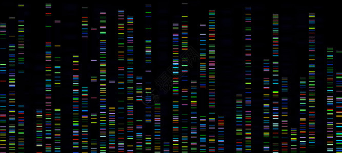 线粒体序列分析生物信息数据彩色方格图插画