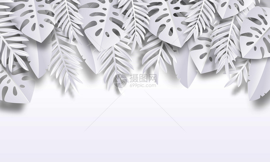 夏季植物黑白折纸矢量插图图片