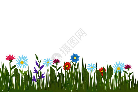 绿草和花卉植物背景插图图片
