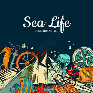 海洋旅行和海洋生物手绘插画图片