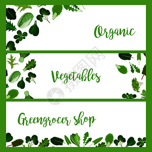 绿色蔬菜水果绿色杂菜沙拉蔬叶背景插画