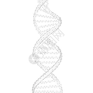 英寸dna核糖酸链螺旋健康医药化学生物技术数据转移和dna分子结构概念低多元设计dna链矢量说明设计图片