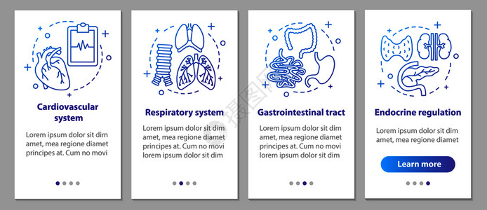 呼吸系统和心血管胃肠道内分泌调节步骤uxig矢量插图背景图片