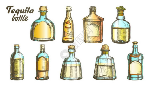现代收藏的龙舌兰玻璃瓶装矢量用于传统墨西哥酒精饮料的不同设计现代和老式瓶子草图液体包装彩色插图的亮度时装龙舌兰玻璃瓶装矢量时的龙墨西哥人高清图片素材