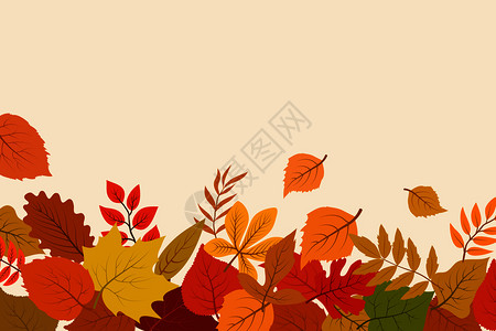 秋季叶子植物背景插图图片