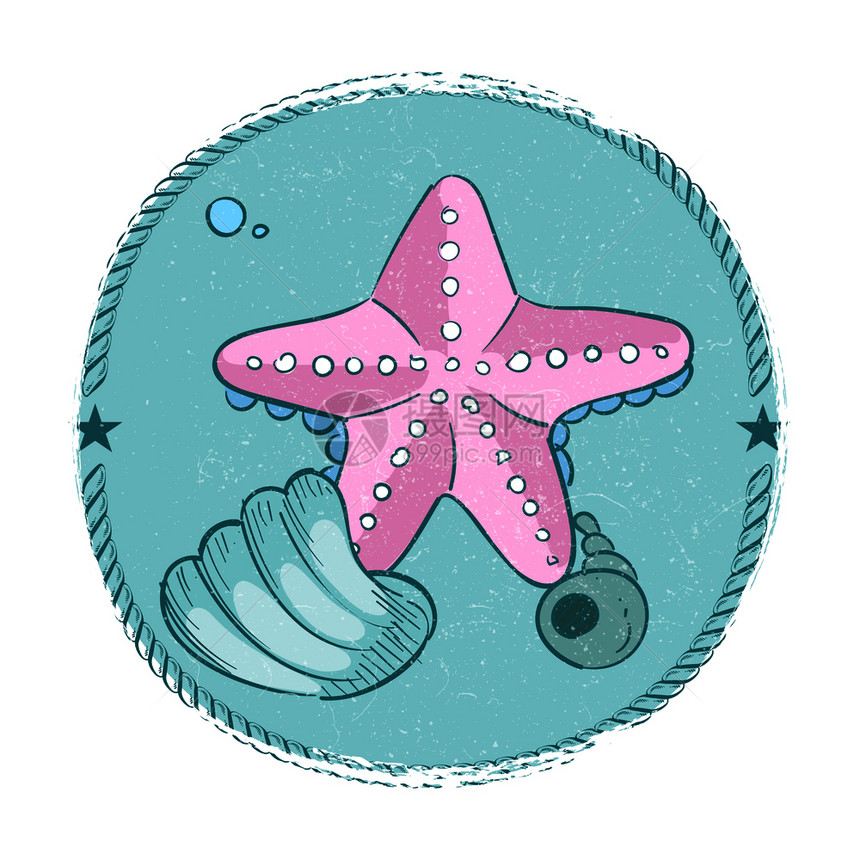 手绘海星和贝壳徽章图片