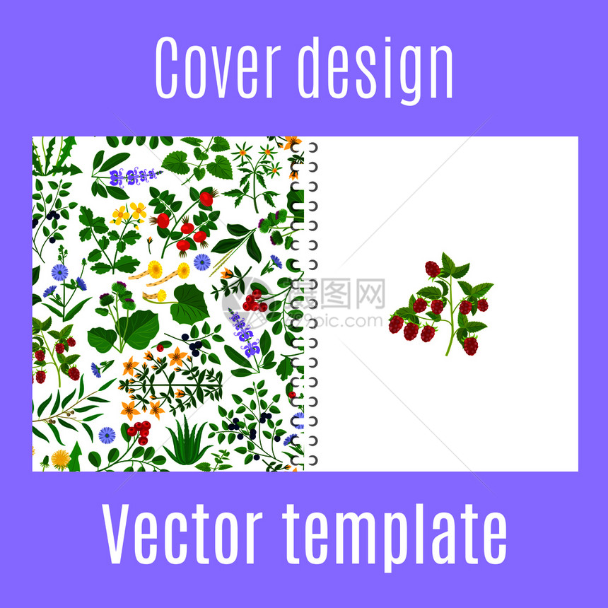 含有草药鲜花和浆果图案的印刷设计封面图片