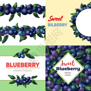卡通风格蓝莓宣传介绍背景图片