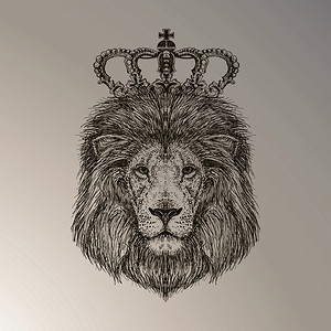 手绘狮子王背景图片