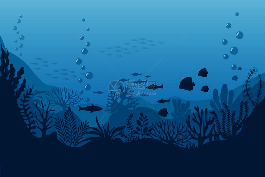 海底海洋生物藻类矢量插画图片