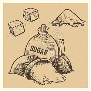 收集的矢量糖素描古典风格的甘蔗图例矢量糖面条收集素描糖图示图片