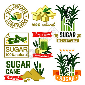 甘蔗种植标签农场徽章和代号矢量图集甘蔗甜食收获植物糖生产标签甘蔗农场徽章和代号矢量图集插画