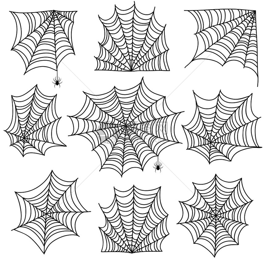 蜘蛛网矢量图图片