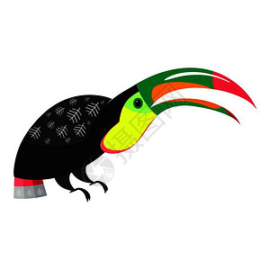 卡通可爱热带动物巨嘴鸟,图片