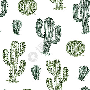 绿色复古手绘沙漠植物仙人掌矢量元素图片