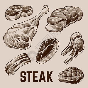 健康猪肉肉类牛排猪插图草手肉牛排插图插画