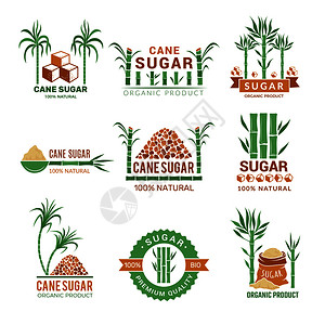 甘蔗矢量素材甘蔗生产糖厂农场糖业叶供您使用的标签生态农业产叶质纸业生产带质或标签插画
