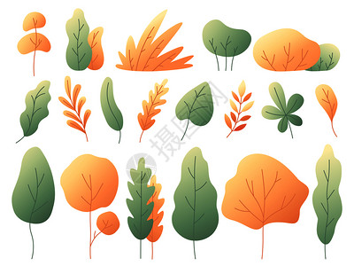 多彩秋天树叶多色秋叶和植物插画