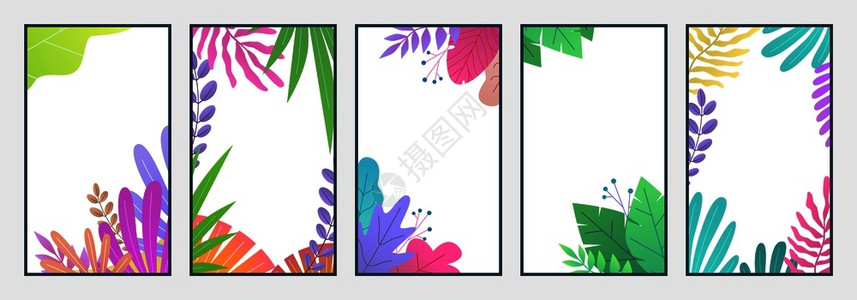 植物壁纸背景插画图片