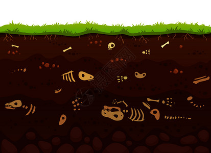 泥土层土层中的化石扁平风卡通矢量插画设计图片