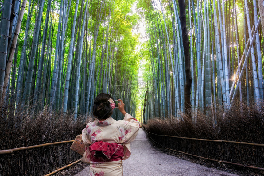 日本和服旅行者在竹林中走动图片