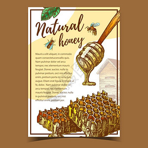 手绘蜂蜜和蜂蜡卡通矢量插画图片