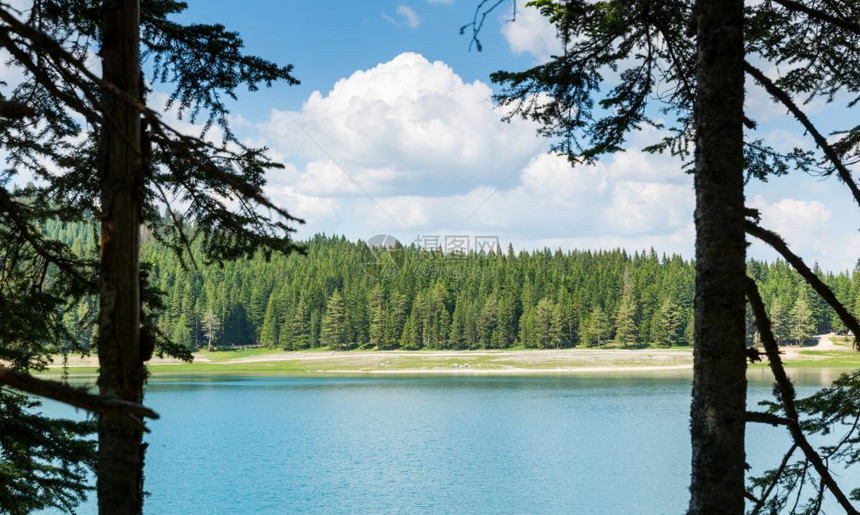 湖泊和森林的全景观图片