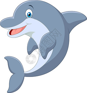 海豚矢量插图图片