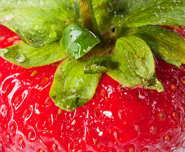 红的成熟草莓图片