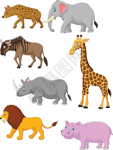 非洲动物背景图片
