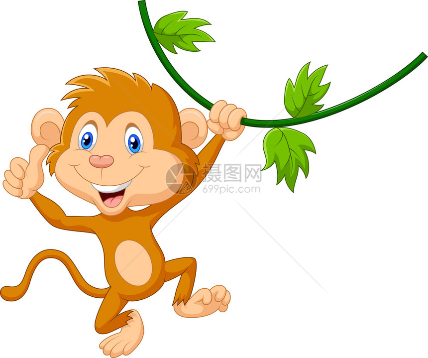 可爱的猴子挂起大拇指图片