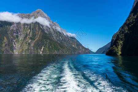 新西南岛密尔福德的轮船游行图片