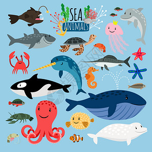 卡通可爱海洋动物矢量插画背景图片